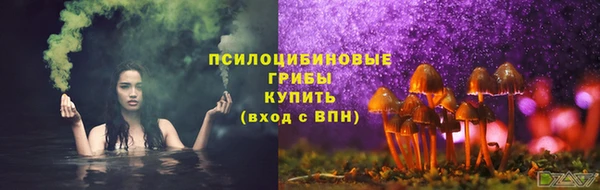 молекула духа Алзамай