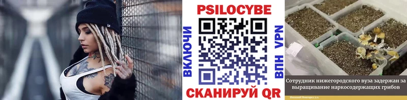 даркнет состав  Анжеро-Судженск  Галлюциногенные грибы GOLDEN TEACHER  продажа наркотиков 